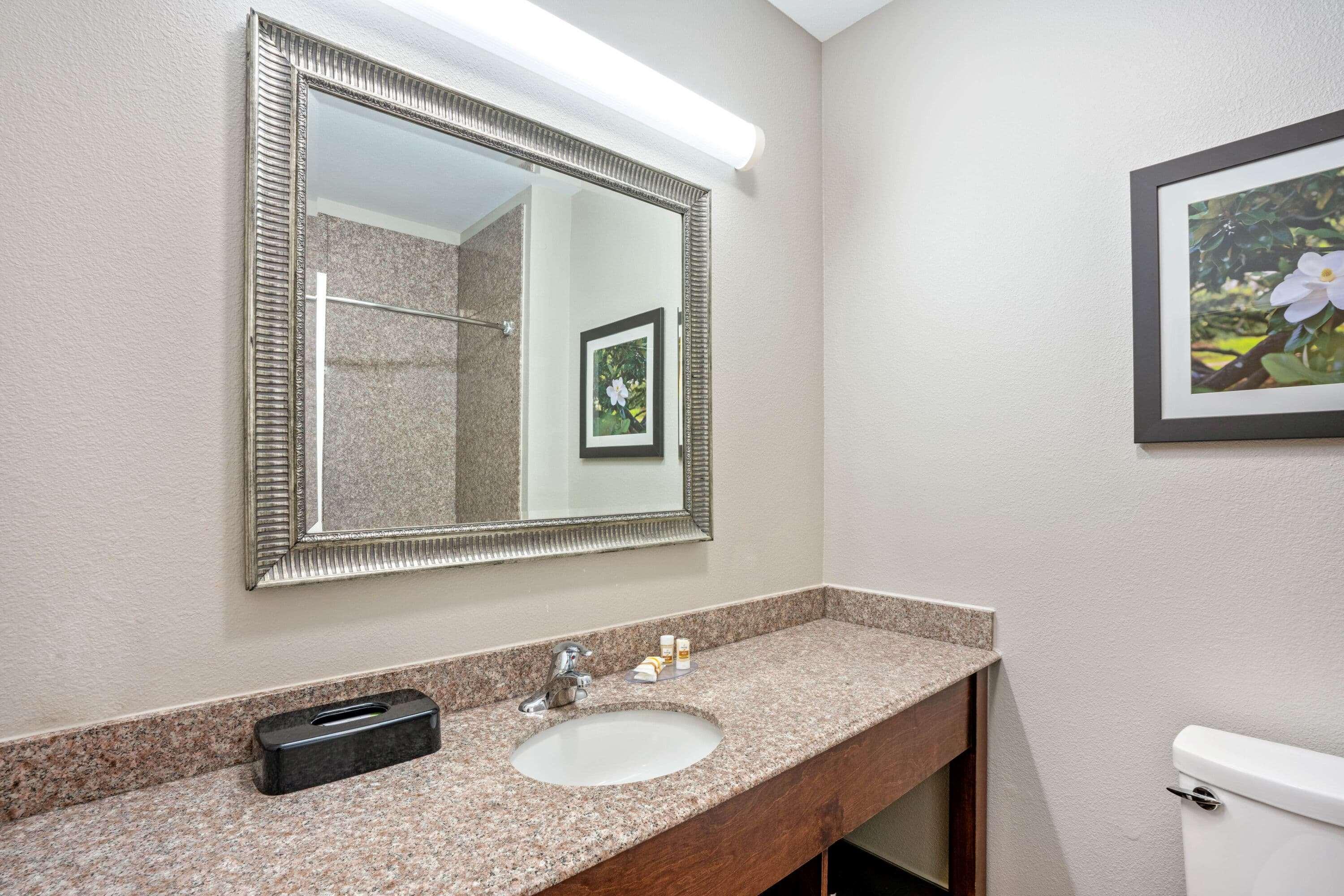 Hotel La Quinta By Wyndham Houston - Magnolia Exteriér fotografie